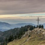 gray cross near tall green trees