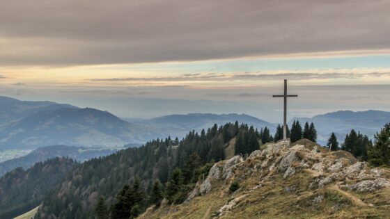 gray cross near tall green trees