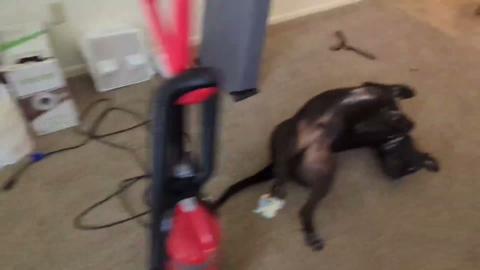 Jasonybird Live – 8/8/2024, 10:12:26 AM