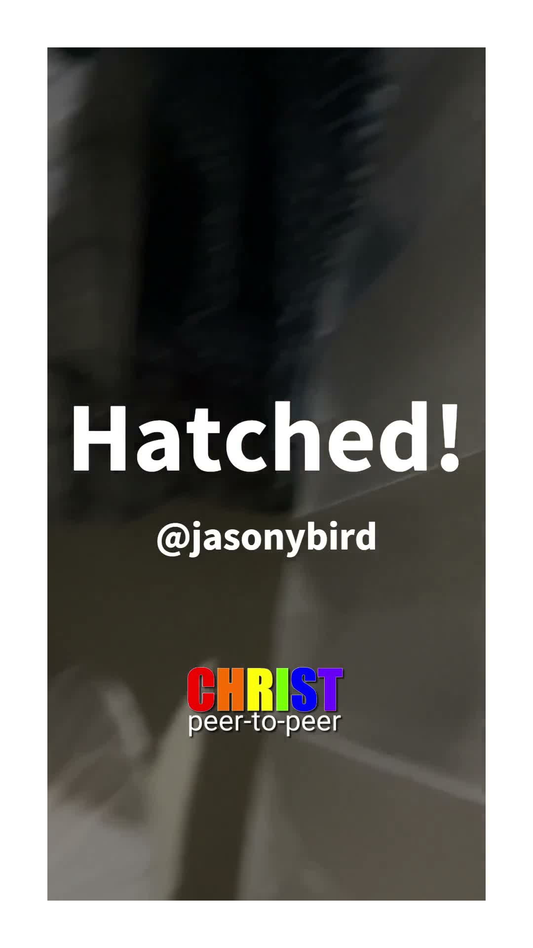 Hatched!