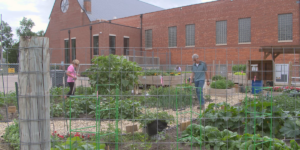 Community Garden Offers Free Fresh Produce to Fight Food Insecurity in Grand Island
