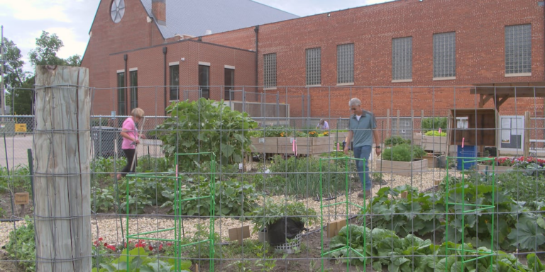 Community Garden Offers Free Fresh Produce to Fight Food Insecurity in Grand Island