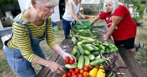 Opequon Presbyterian Church’s Roots and Shoots Garden Donates 400 Pounds of Produce