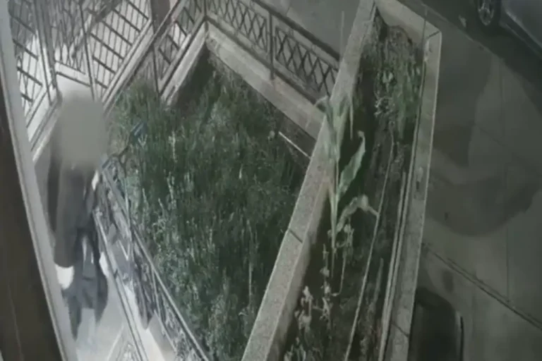66-Year-Old Rabbi Attacked in Brooklyn, Suspect Arrested