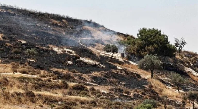 The Christian Presence in the Holy Land Faces Multi-Faceted Pressures as Outposts and Tax Disputes Threaten Communities