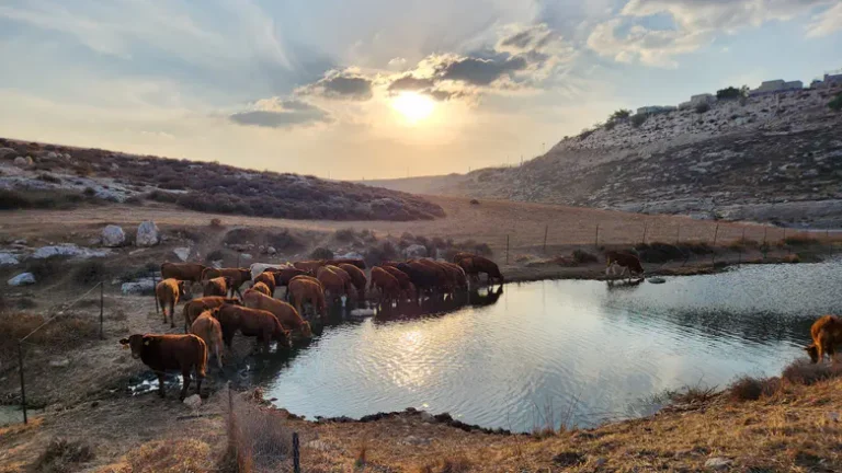 Religious Zionism Invites Israelis to Explore New Settlements in Judea and Samaria During Sukkot