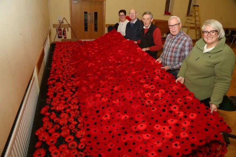 Newtownstewart Presbyterian Church Prepares for Festival of Poppies with Art and Remembrance Displays (Newtownstewart, United Kingdom)