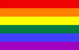 The American Presbyterians Ordain First Gay Priest in History