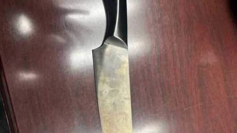 9-year-old girl investigated after allegedly cutting another child with knife at Annie Burnside Elementary School