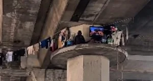 Crisis in Los Angeles: Homeless individuals survive under bridges in extreme conditions