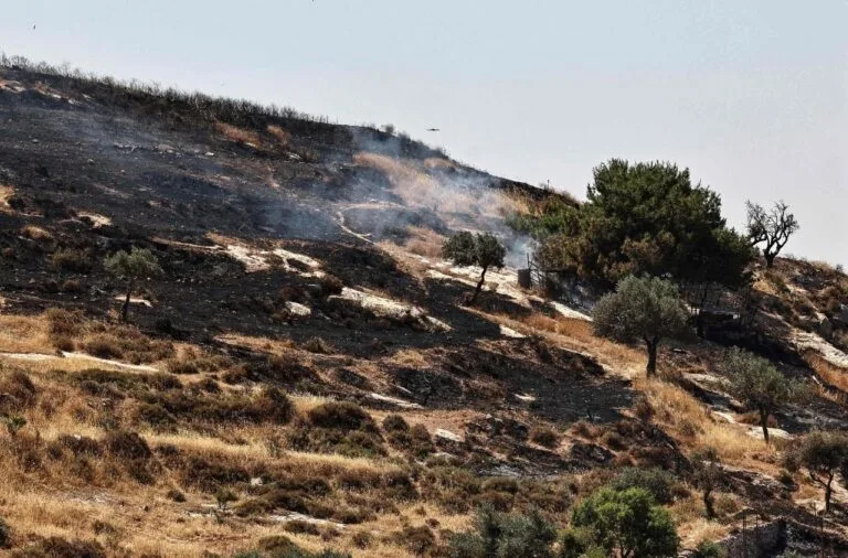 Residents of West Bank’s Last Christian Village Face Olive Harvest Restrictions and Fear of Settler Attacks