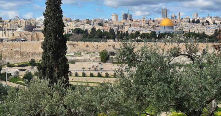 Catholic Group Asks Pope Leo to Clarify Church’s Stance on Israel’s Theological Legitimacy