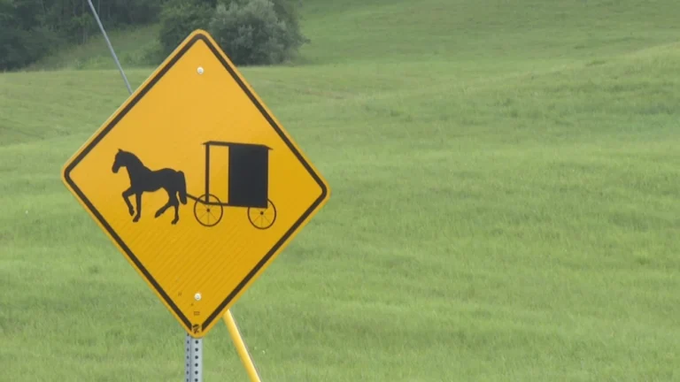 Amish Community Leader Expresses Concerns Over Proposed Bedford Township Ordinance