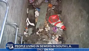 Homeless individuals in South L.A. use rain drains as shelters amid unsafe conditions.