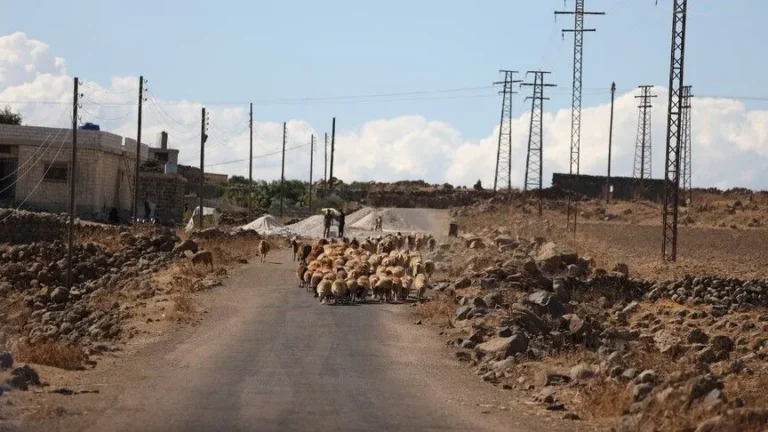 Israeli army opens fire on water tanker, displaces shepherds in southwestern Syria