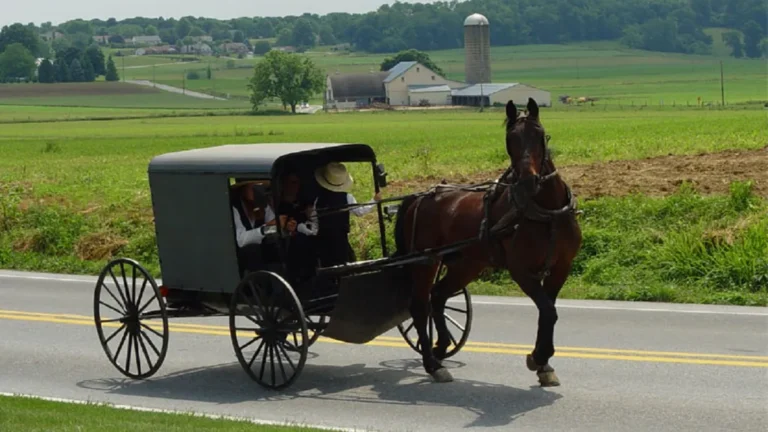 Online-Only State Tax System Leaves Amish Families With Inflated Bills