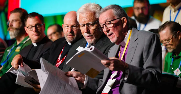 Convention Affirms Current Synod Paths for Ordination and Pastoral Training