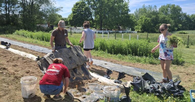 Bridgewater Church of the Brethren to Host Music Festival to Fund Food Pantry Garden Improvements