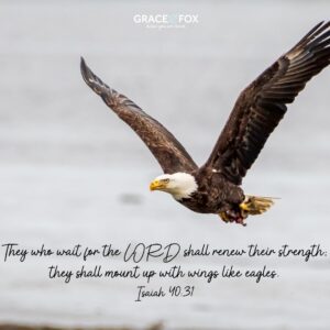 Renewing Your Strength When You’re Weary