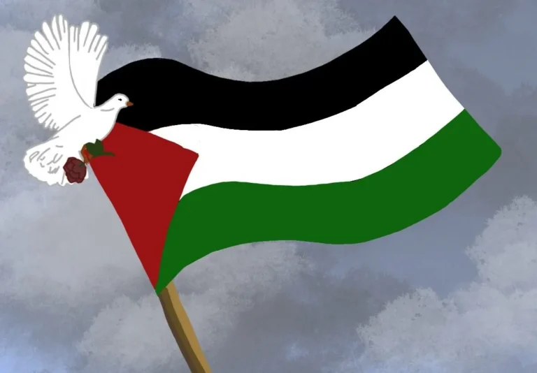 Three Christian Organizations in Palestine Share Perspectives on Israel-Palestine Conflict