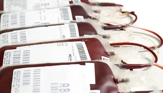 Europe Court Condemns Spain Over Blood Transfusions for Jehovah’s Witness