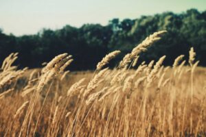 The Key That Holds Everything: Embracing Love That Never Fails