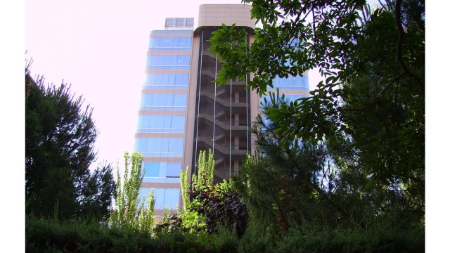 Jehovah’s Witnesses in Spain Face Contradictory Court Rulings on Honor Claims