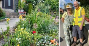 Quaker Meeting House Garden in Crawshawbooth Participates in National Garden Scheme