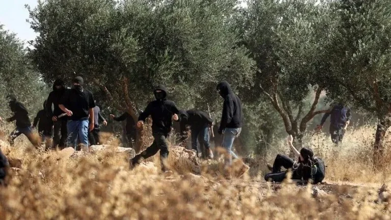 Amnesty International Accuses Israeli State of Supporting Settler Violence Aimed at Ethnic Cleansing in West Bank