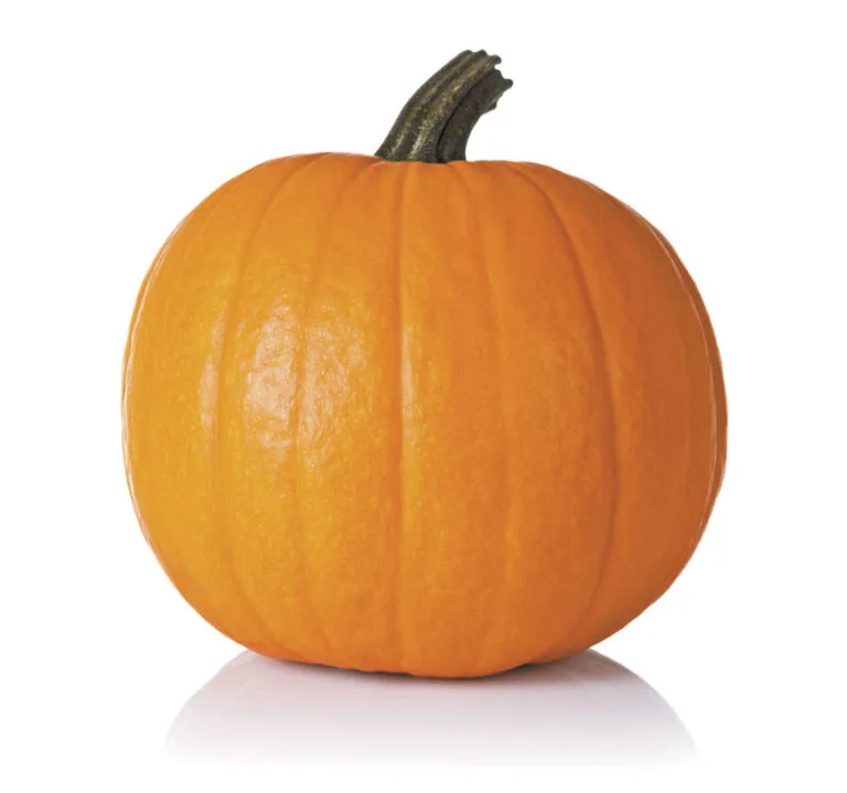 Church of the Nazarene Opens Annual Pumpkin Patch Fundraiser
