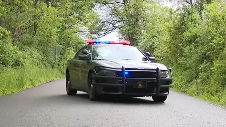Amish Woman Uses Weed Whacker to Deter Kidnapping Attempt by Illegal Immigrant, Per DHS Report
