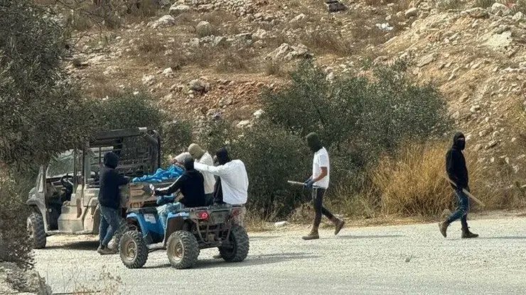 The Olive Trees of Taybeh Face Attacks by Jewish Settlers as Farmers Struggle with Land Restrictions and Violence (Taybeh, Palestinian Territories)