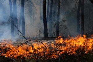 The Church in Spain offers spiritual accompaniment and practical support to communities affected by forest fires