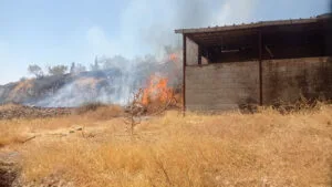 Israeli Settlers Accused of Attacking Christian Village During Olive Harvest