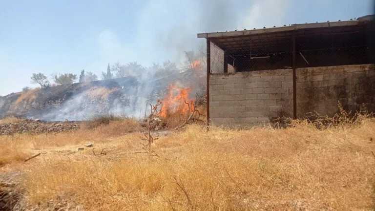 Israeli Settlers Accused of Attacking Christian Village During Olive Harvest