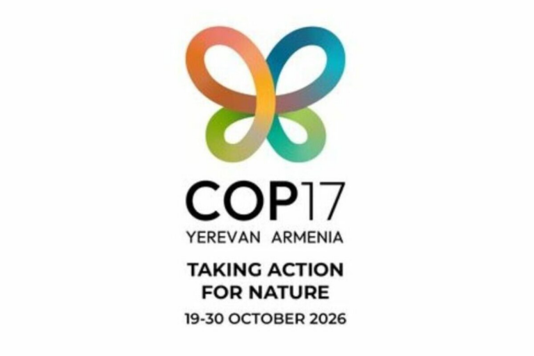 Episcopal Bishop Joins Anglicans to Advocate for Biodiversity at UN Conference