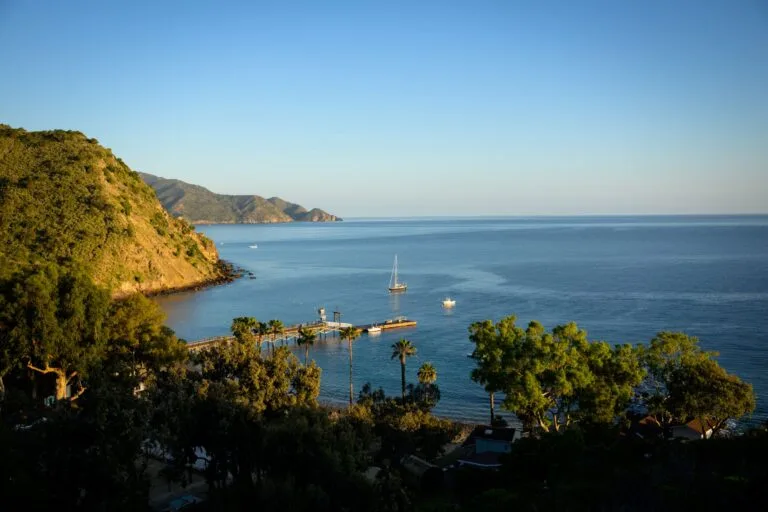 An Island, the Gospel of Mark, and 360 College Students