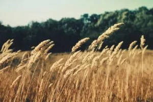 Bracing for the Worst: Trusting God in the Midst of Fear