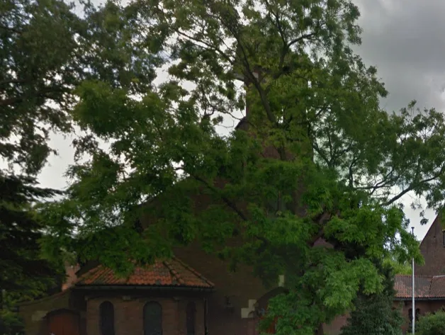 Dutch Refugee Agency Advises Against Attendance at Eritrean Orthodox Church in Rotterdam Due to Abuse Concerns