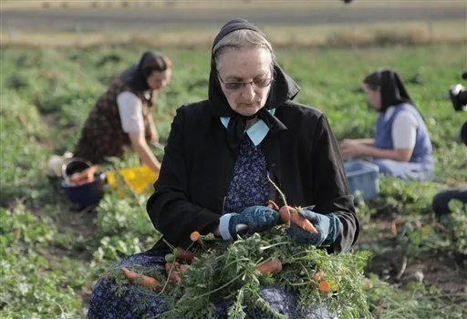 Hutterite leaders demand apology for National Geographic show’s portrayal of their community