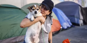 A pet-friendly homeless shelter pilot in California helped 4,407 people keep their pets while accessing shelter and services.
